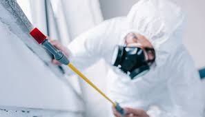 Best Residential Pest Control  in Hoboken, NJ